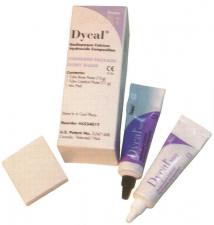 Дайкал (24гр) -Dentsply-